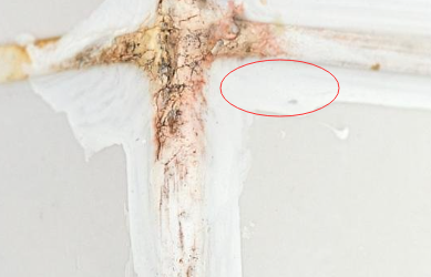 密封膠在生產時可以使用熒光增白劑增白嗎？